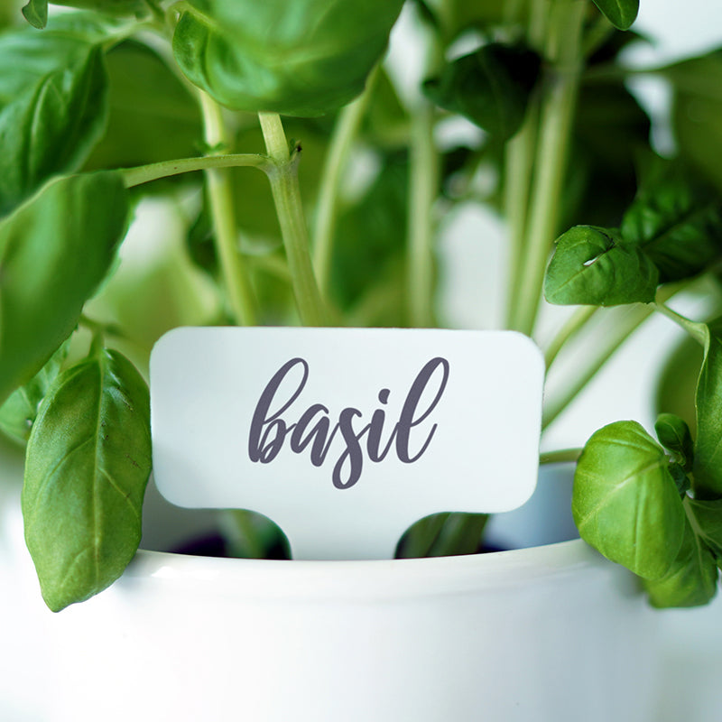 Custom Plastic Herb Labels, Garden Markers, FAM10051