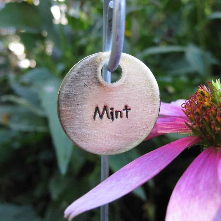 Laser Engraved Plant Markers, Garden Gifts, Gardener, Greenery, Brass, Herb Tags, Labels with Swirly Stakes, Set of 10, FAM10020