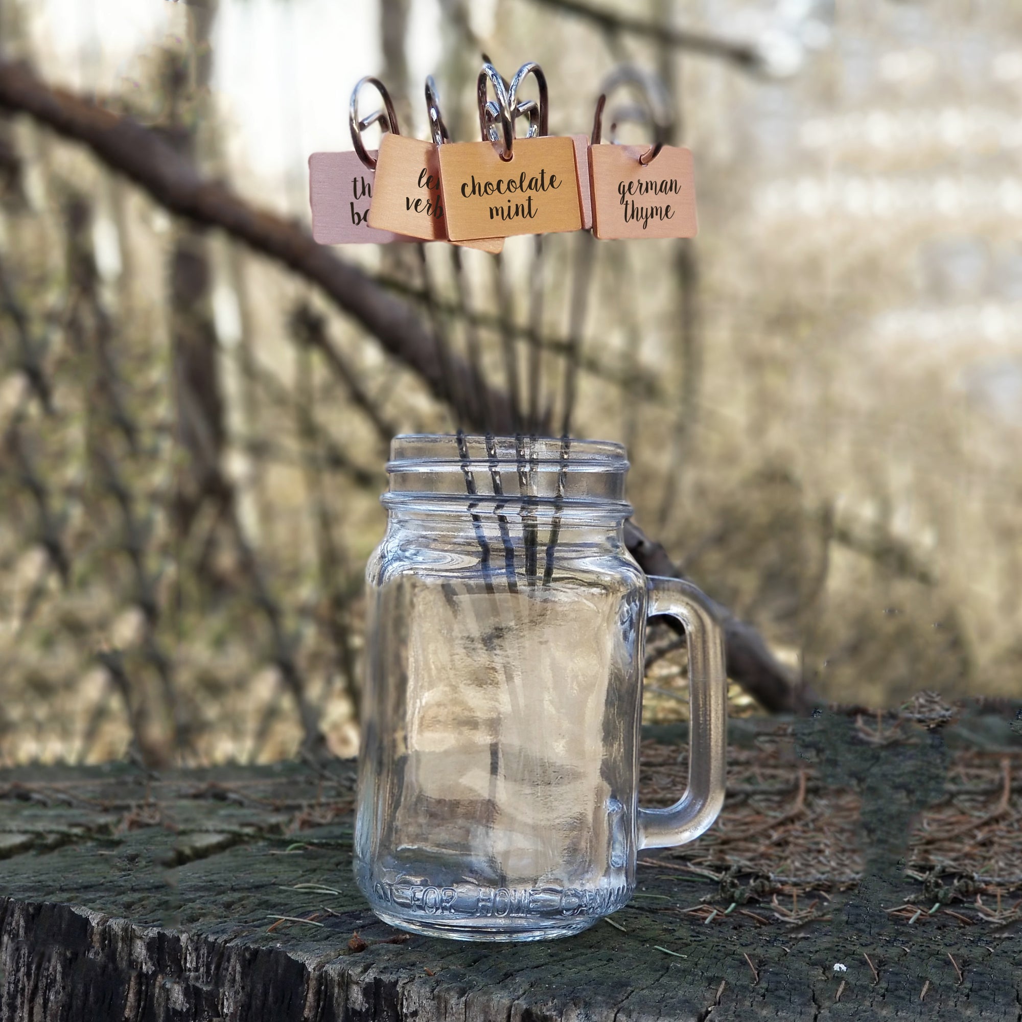 Laser Engraved Copper Garden Markers, Gardener Gift for Mom, For Mothers Day, Whimsical Plant Tags, Herb Label, Gifts for Dad, FAM10039