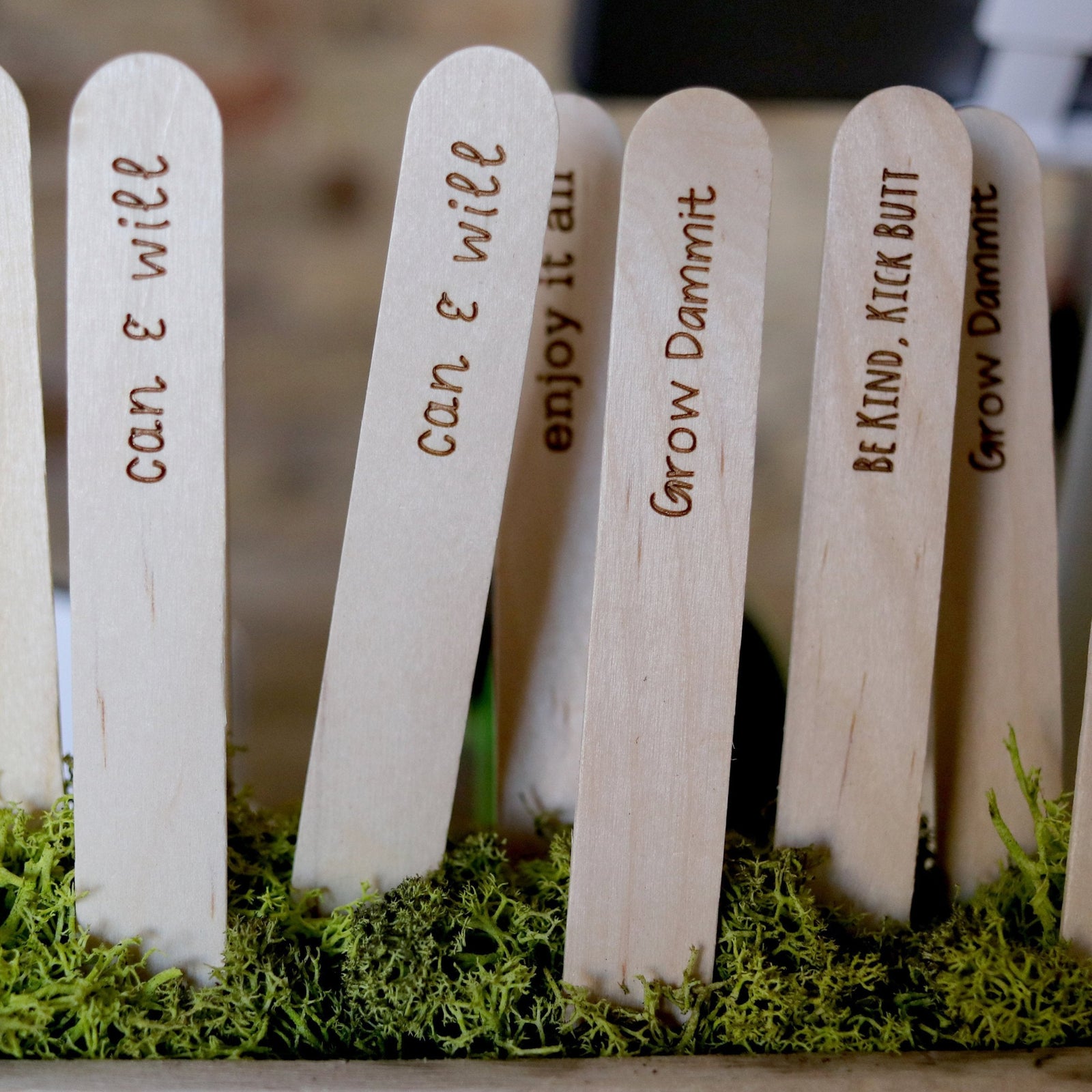 Laser Engraved Custom Set of 10 Eco-friendly Garden Markers, Gardening Popsicle Sticker Labels, Wood Plant Post, Herb Stake, FAM10042