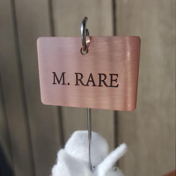 Chef Gift Foodie Gift Gourmet Gift Grill Master Gift Blush Steak Markers Copper Tags Stainless Steel Stakes Steak Picks Set of 8